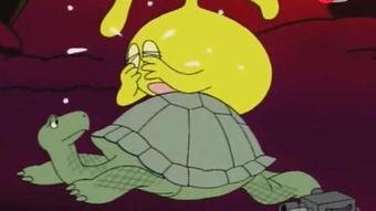 海龟爸爸爆料了吗视频播放,揭秘幕后真相  第1张